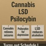 Poster showing cannabis, LSD, and psilocybin under “No Medical Value” despite modern research, highlighting contradictions in Schedule I drug classification