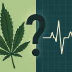 Cannabis and cardiovascular risk debate