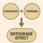 Infographic showing cannabinoids, terpenes, and entourage effect