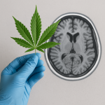 A gloved hand holds a cannabis leaf over a brain scan
