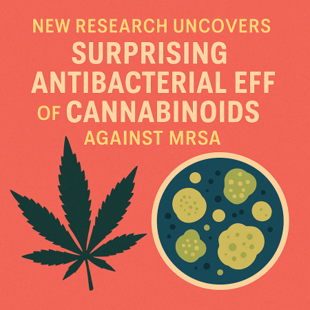Cannabinoids Against MRSA: 5 Surprising Findings You Should Know