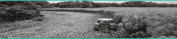 CED Clinic: Personalized Cannabis Medicine 248 Colorado Hemp Farmers Warn New Federal THC Rules Will ‘Devastate’ the Industry