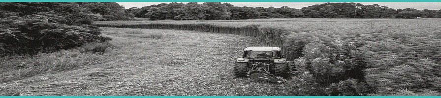 colorado hemp farmers warn new federal thc rules w 1