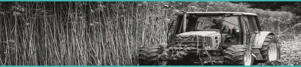 CED Clinic: Personalized Cannabis Medicine 254 Congressional Research Service: Enforcement of Hemp Ban ‘Remains Unclear’