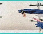 dose otcqb rdtcf advances quickstrip b resea
