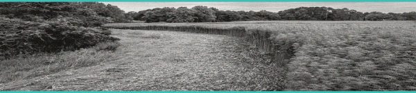 CED Clinic: Personalized Cannabis Medicine 250 Federal Hemp Ban Could Sweep Up Even ‘THC-Free’ CBD Products