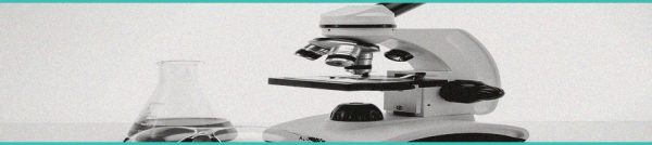 CED Clinic: Personalized Cannabis Medicine 245 First Human Clinical Trial: CBG Reduces Anxiety and Stress Without Intoxication