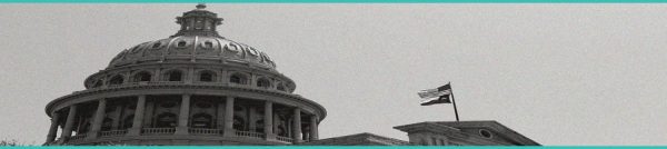 CED Clinic: Personalized Cannabis Medicine 256 Global Cannabis Sector 2026: Terpenes, THC Beverages, and Regulatory Momentum