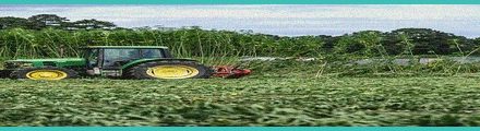 hemp act industry reactions no one will grow a c 6