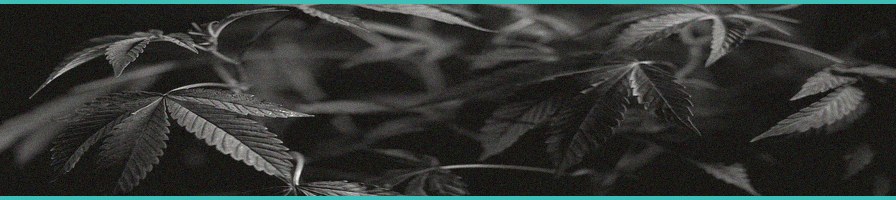 united center becomes first major us arena to part 1