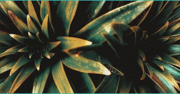 2 greater cincinnati breweries file lawsuit over o