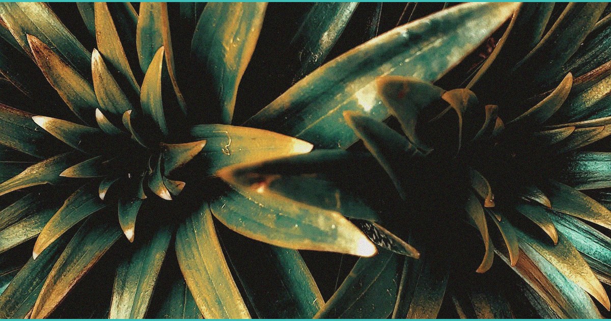 2 greater cincinnati breweries file lawsuit over o