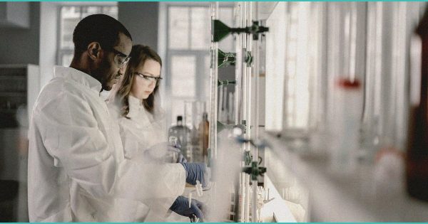 2026 Utah legislature on cannabis, psychedelics and kratom – Fox 13