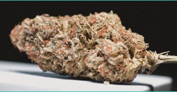 CED Clinic: Personalized Cannabis Medicine 174 Alcohol as a Novel Trigger for Cannabis Hyperemesis Syndrome.