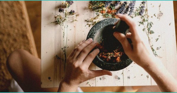 attempt to limit potency of b thc b in marijuan