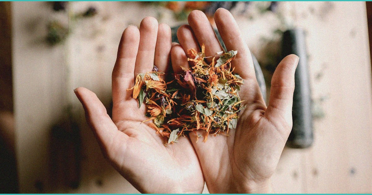 b cannabis b compounds cbd and cbg slash liver 3