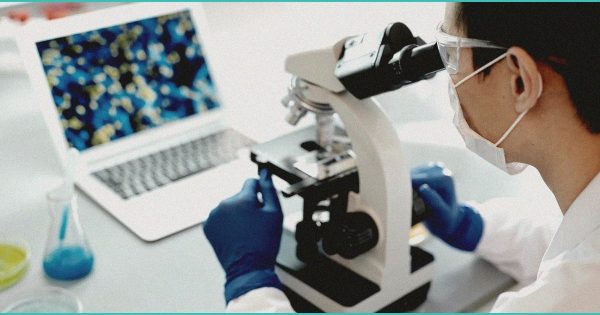 b study b reveals b cannabis b compounds red