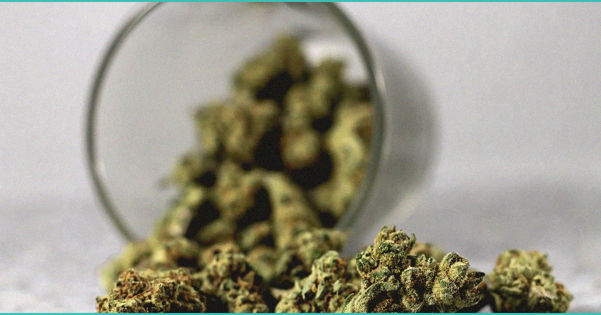 bill regulating thc edible sales in sc nears gov 1