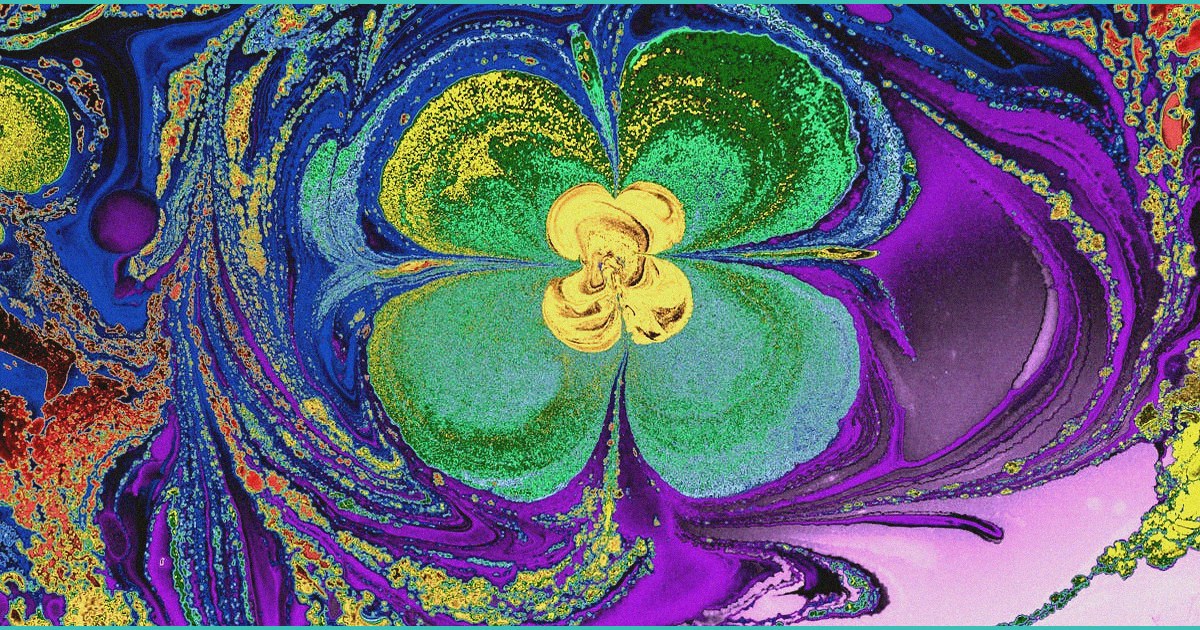 campaign launched in memory of mum who helped chan 6