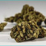 cannabidiol for lennox gastaut cannabinoid clinic 1