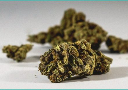 cannabidiol for lennox gastaut cannabinoid clinic 1