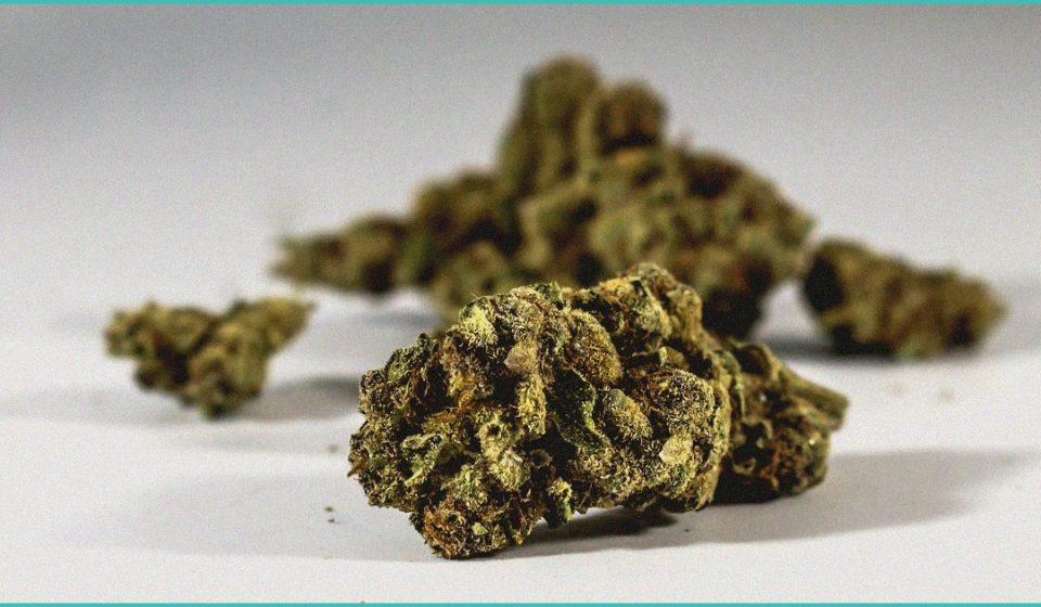 cannabinoid clinical trials cannabis effects on a 3
