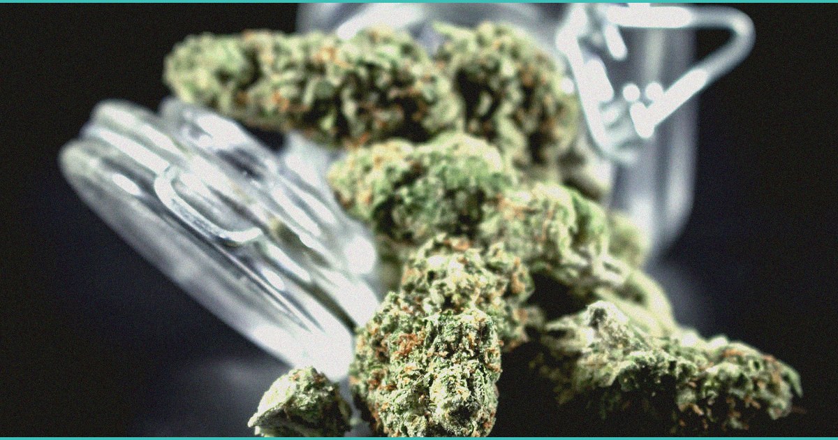 cannabinoid clinical trials cannabis intervention 2