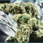 cannabinoid clinical trials cannabis intervention 3