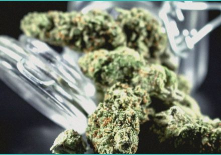 cannabinoid clinical trials cannabis intervention 3