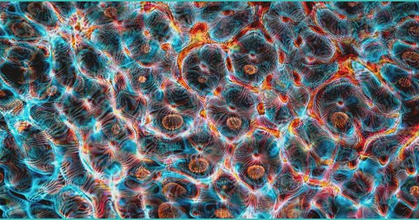 Cannabis compounds could reverse disease affecting one-third of adults – New York Post