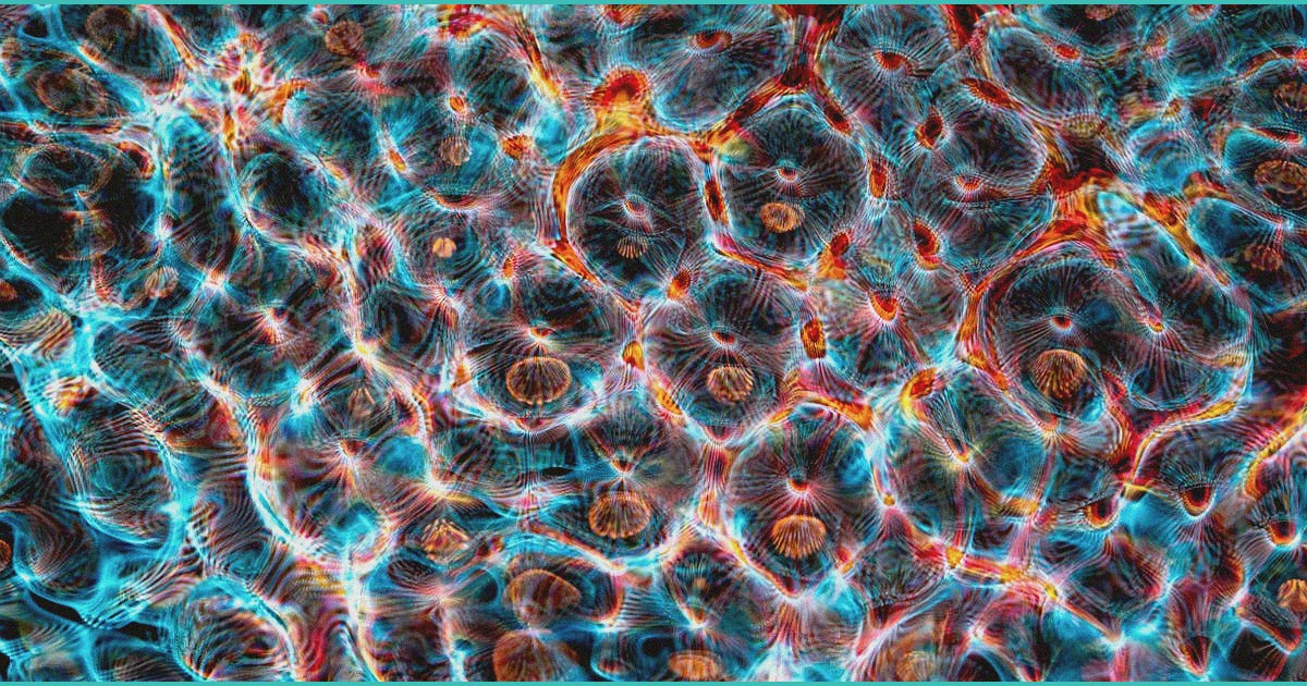 cannabis compounds could reverse disease affecting 1