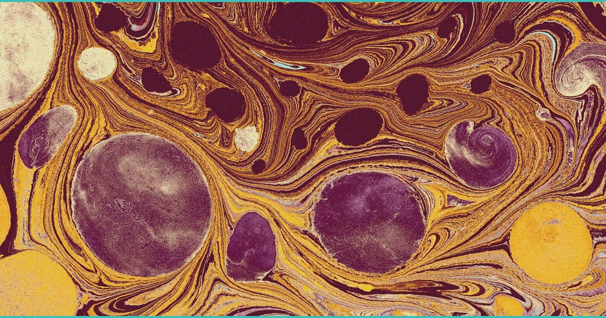 cannabis use linked to larger brain volume better