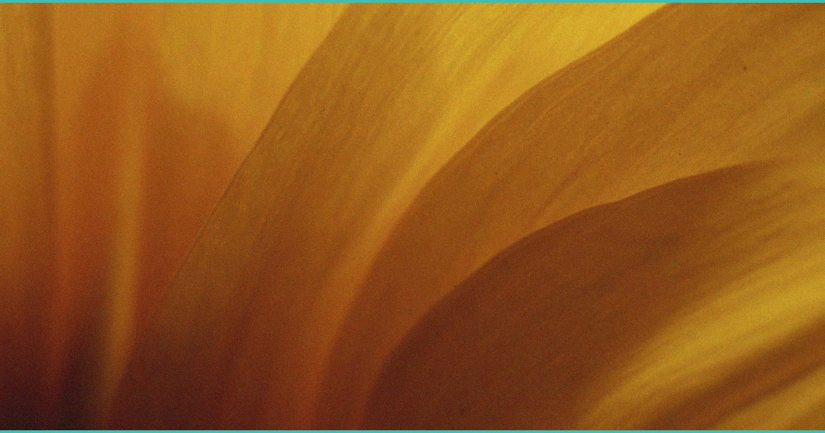 cbd and cbg promising treatments for fatty liver d 1