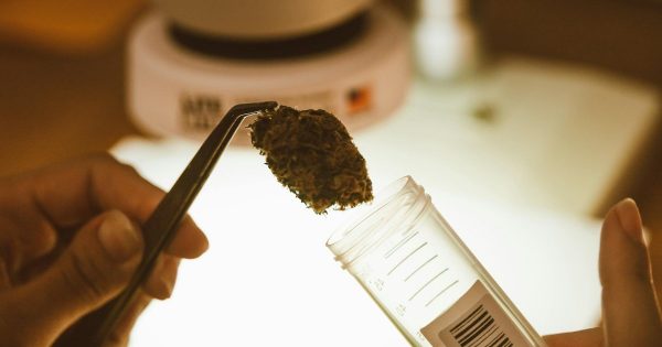 CED Clinic: Personalized Cannabis Medicine 204 Cannabis Beverages vs Alcohol: What New Research Reveals