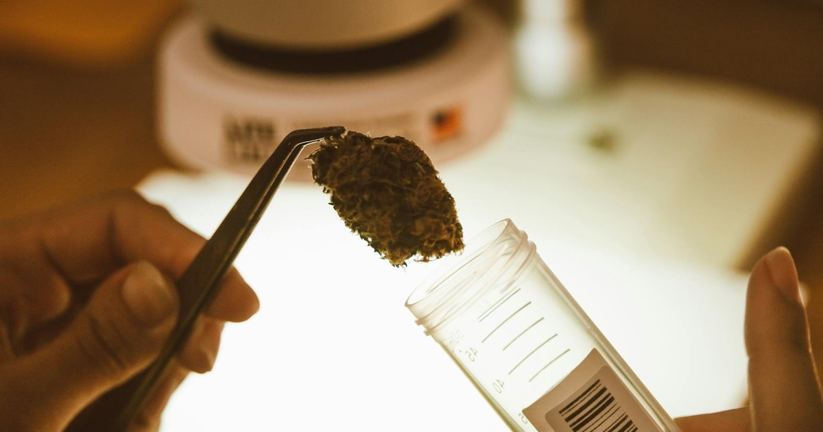 ced blog 21116 featured 1