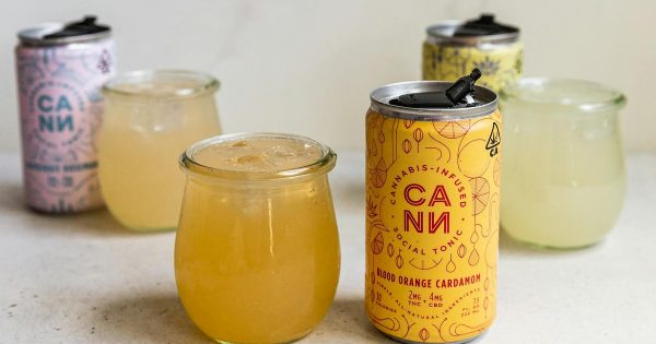 CED Clinic: Personalized Cannabis Medicine 203 Cannabis-Infused Beverages as Alcohol Alternatives: New York at Five Years