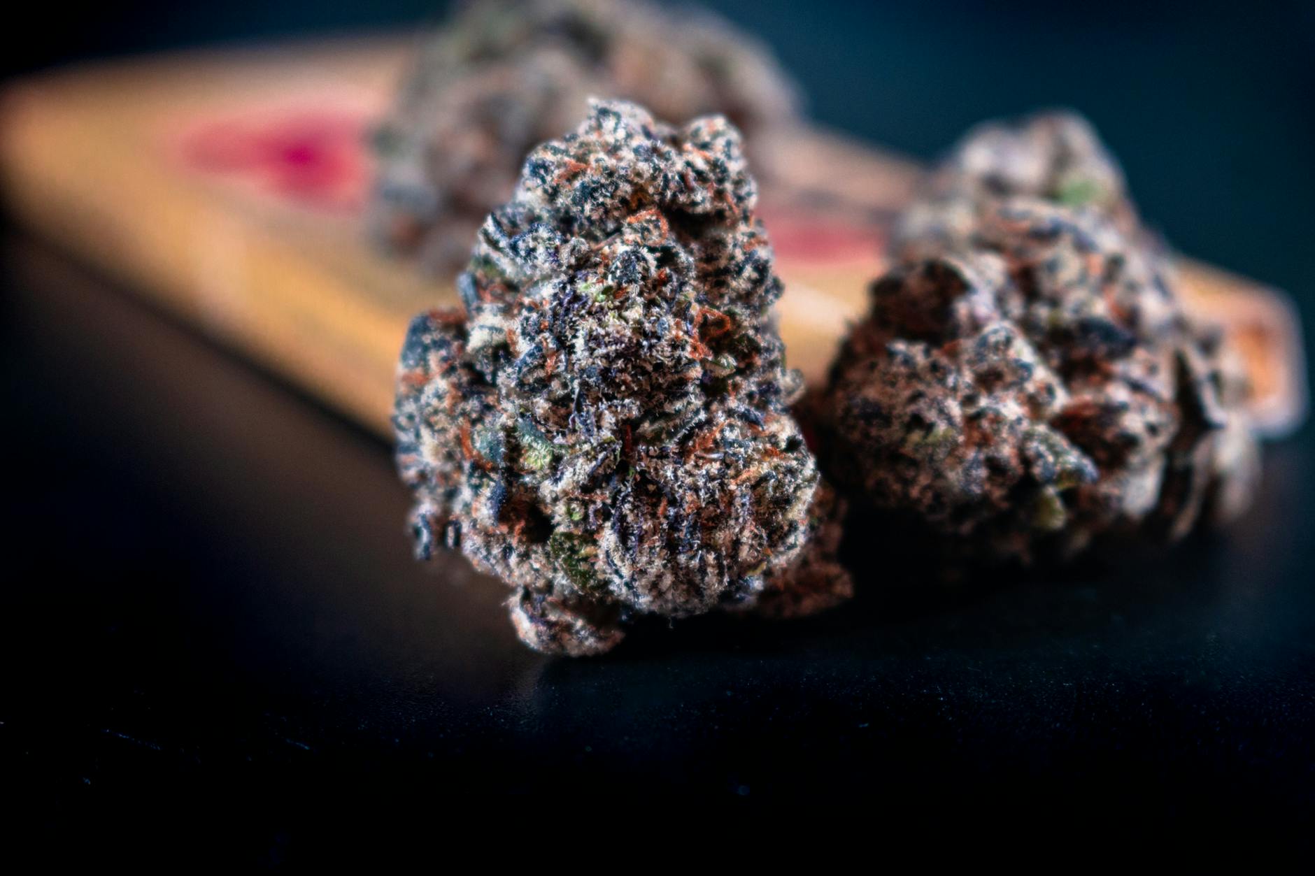 Colorado scientists discover that cannabis could benefit memory and brain size in older people 2 Colorado scientists discover that cannabis could benefit memory and brain size in older people