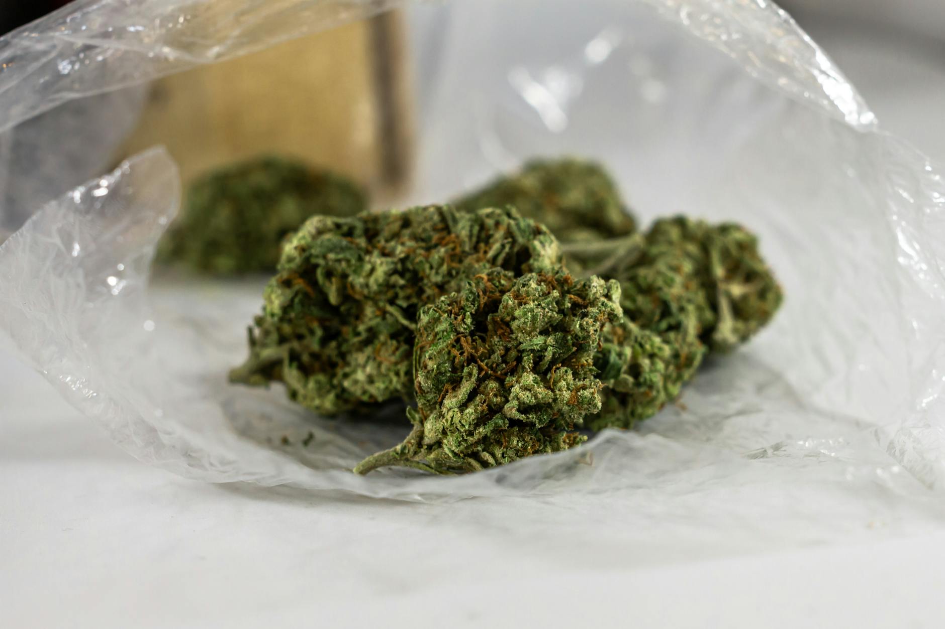 Cannabinoid Clinical Trials: PTSD and Substance Use Disorder 2 Cannabinoid Clinical Trials: PTSD and Substance Use Disorder