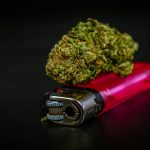 ced pexels 13084377