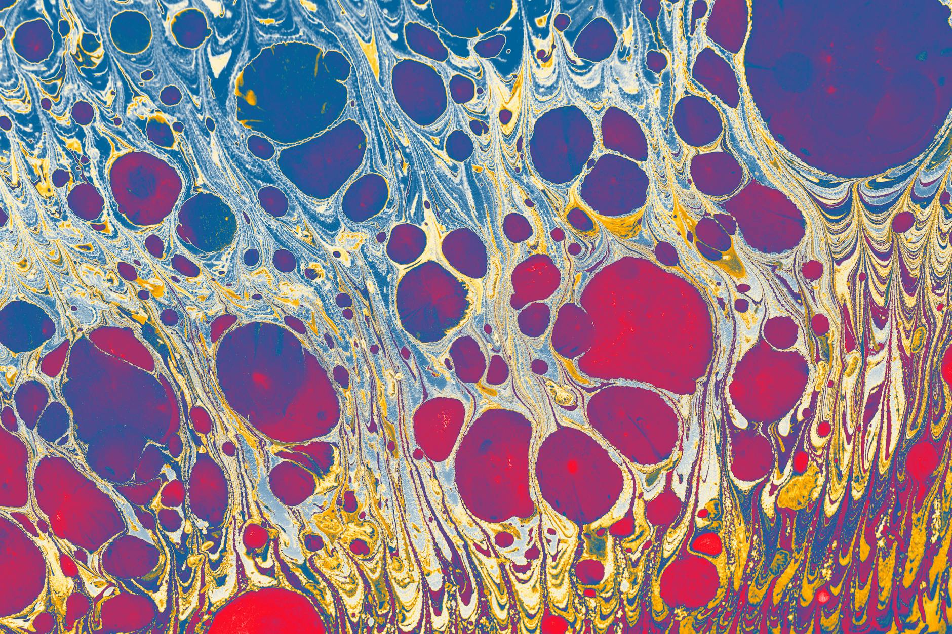 `Endocannabinoid System & Adolescent Health: 15-Year REAL 2.0`