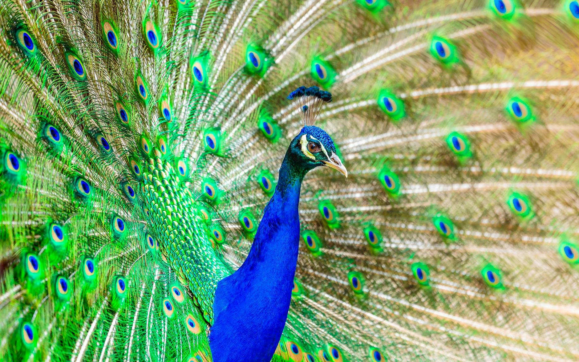 Teen who killed 6 in THC crash gets 65-year sentence - Arlington Today 2 Teen who killed 6 in THC crash gets 65-year sentence – Arlington Today