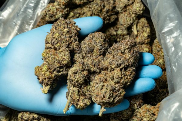 In the Mix: 8 More Articles — March 19, 2026