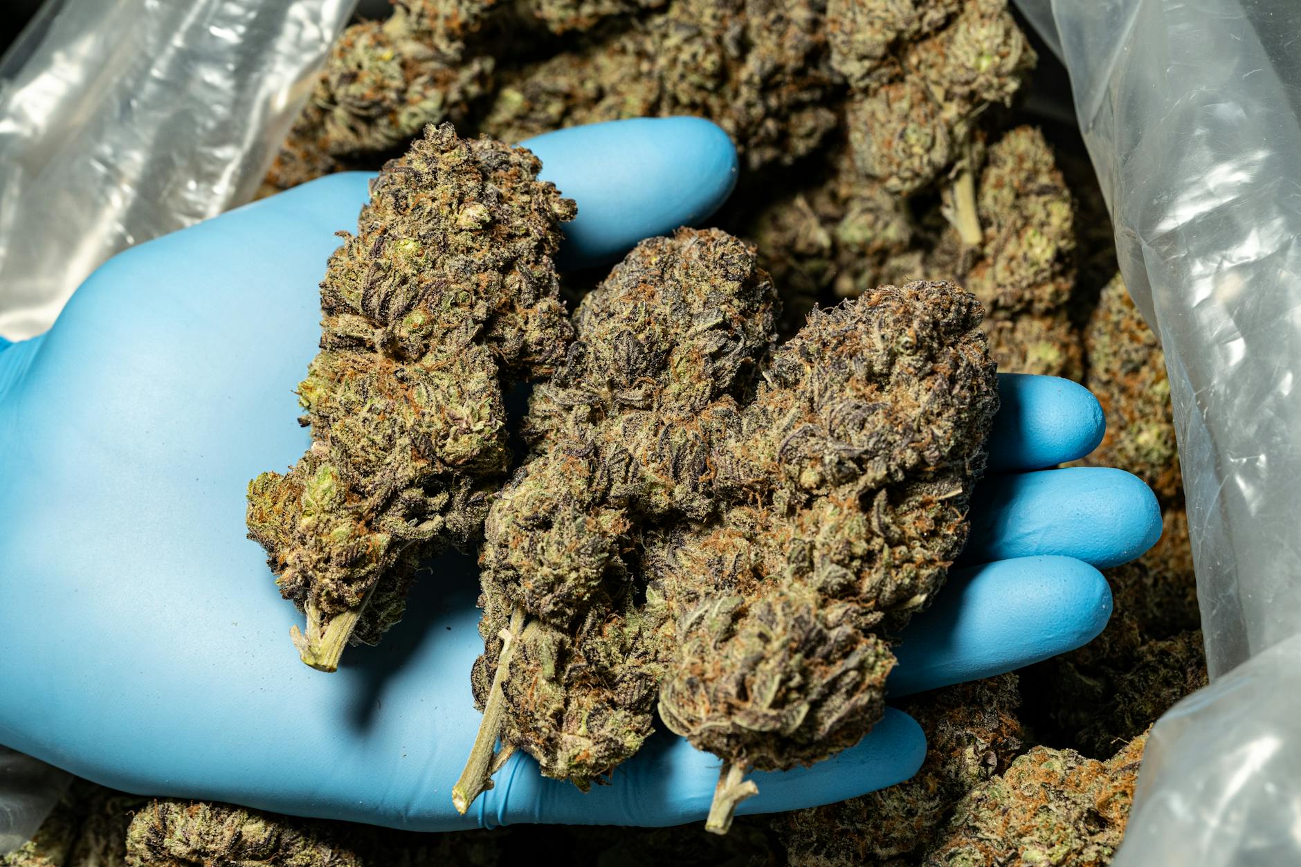 In the Mix: 8 More Articles — March 19, 2026