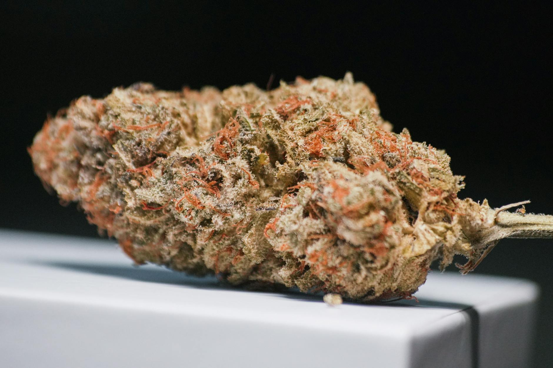 Quasi-randomization to Cannabinoid Condition in Studies of US Legal Market Cannabis 2 Quasi-randomization to Cannabinoid Condition in Studies of US Legal Market Cannabis