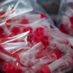 Cannabinoid Clinical Trials: CBD, Psychosis & Brain Function