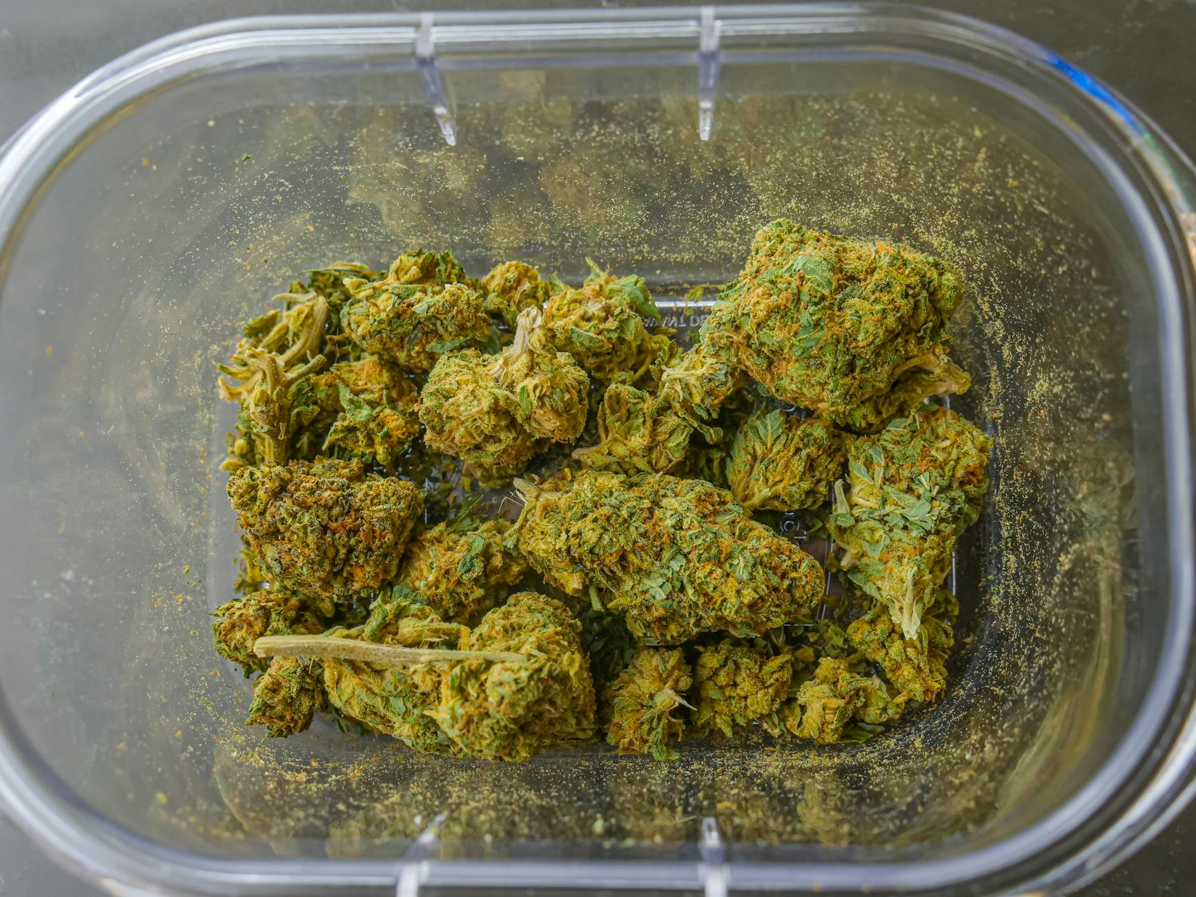 House passes bill seeking to ease access to Georgia’s medical cannabis program