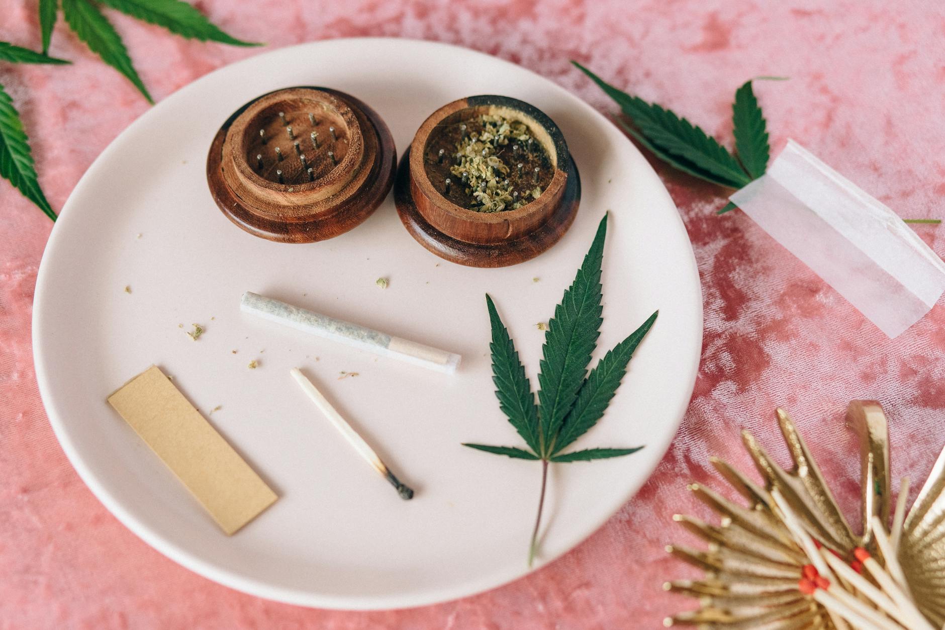 CMMNJ Supports A1291 to Strengthen Cannabis Product Testing - Heady NJ 31 CMMNJ Supports A1291 to Strengthen Cannabis Product Testing – Heady NJ