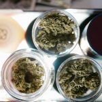 medical cannabis evidence-based care: Phase 3 Trial Results