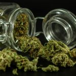 United States Drug Enforcement Administration Cannabis-Related Documents