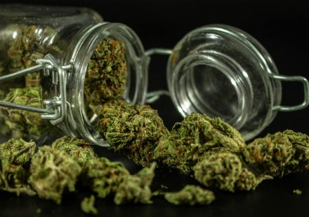 United States Drug Enforcement Administration Cannabis-Related Documents